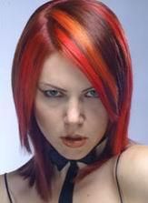 6333_1.jpg